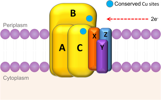 Fig. 3