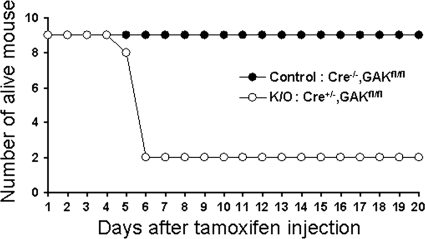 Figure 7.