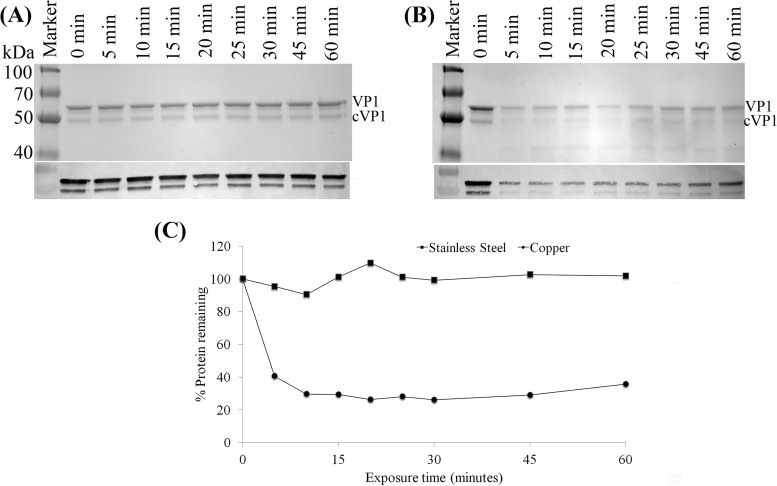 FIG 3