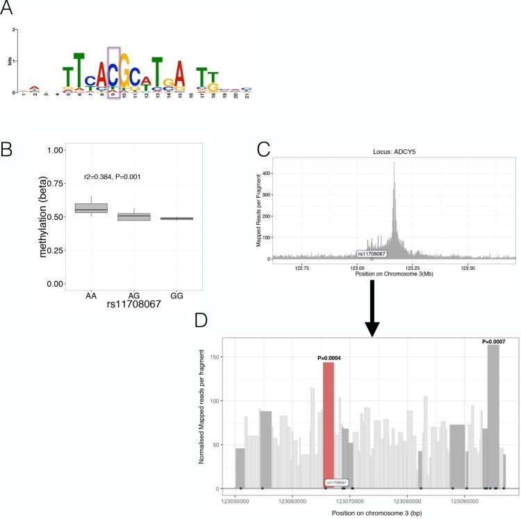 Figure 5—figure supplement 1.