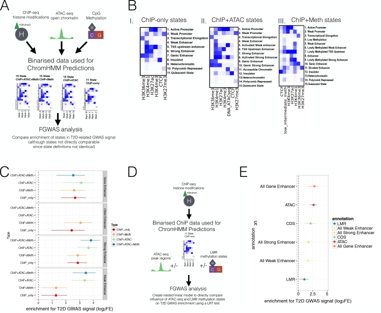 Figure 3—figure supplement 1.