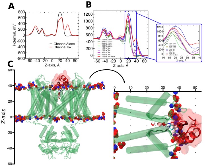 Figure 7—figure supplement 1.