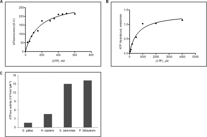 FIGURE 1.