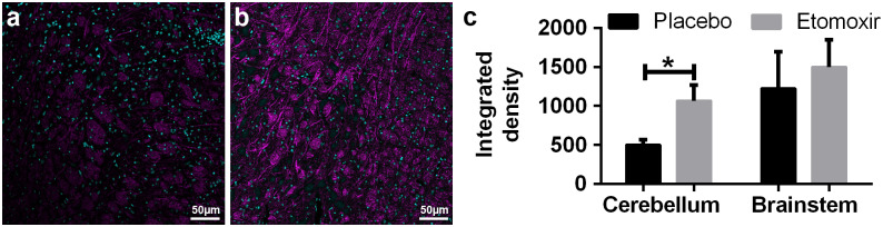 Fig 7