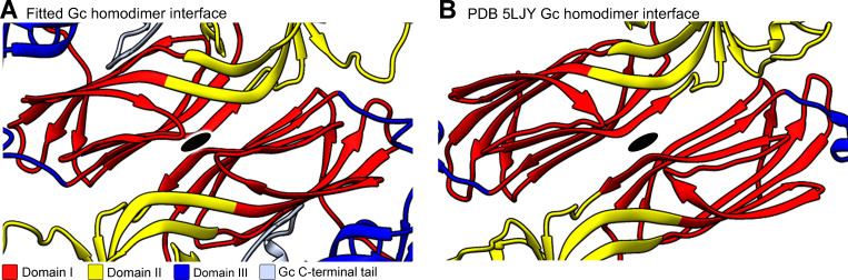 Figure 6—figure supplement 1.