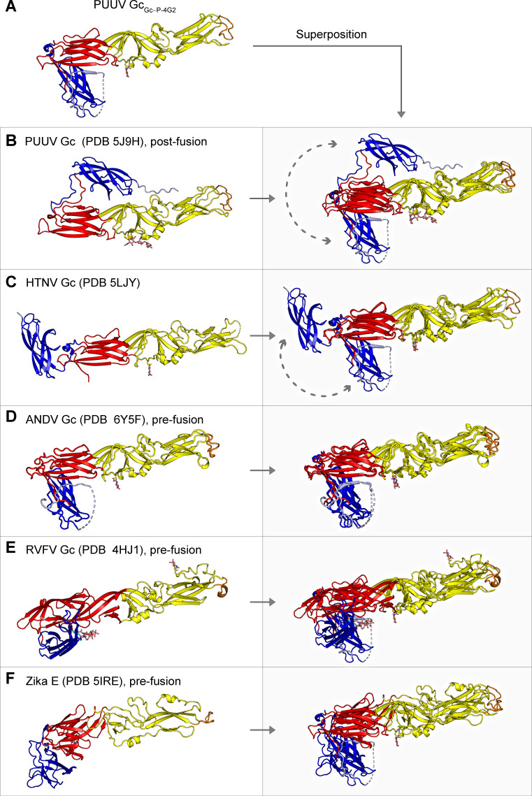 Figure 3—figure supplement 1.