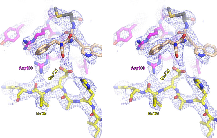 Figure 2—figure supplement 1.