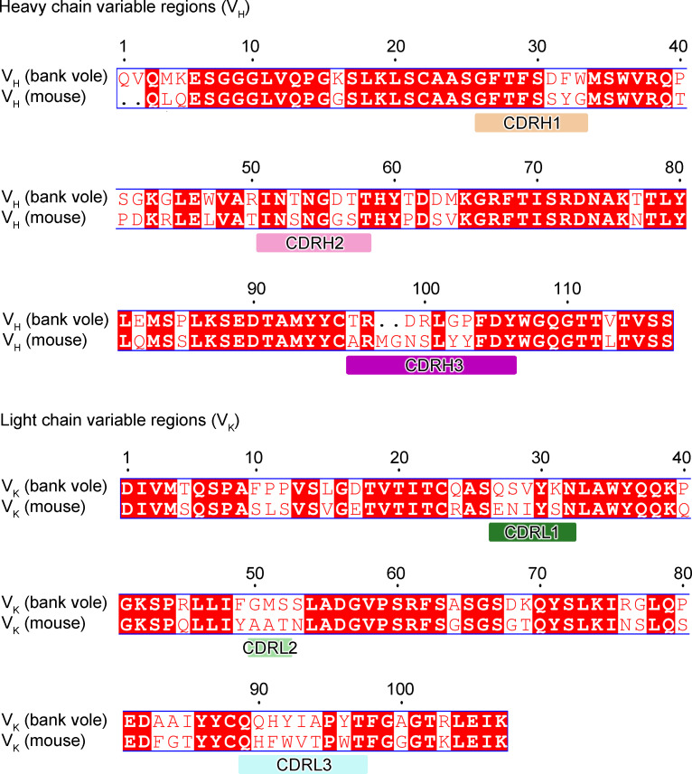 Figure 1—figure supplement 1.