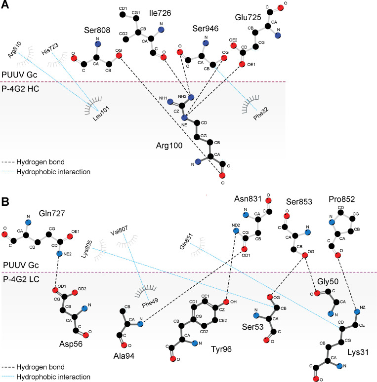 Figure 2—figure supplement 2.