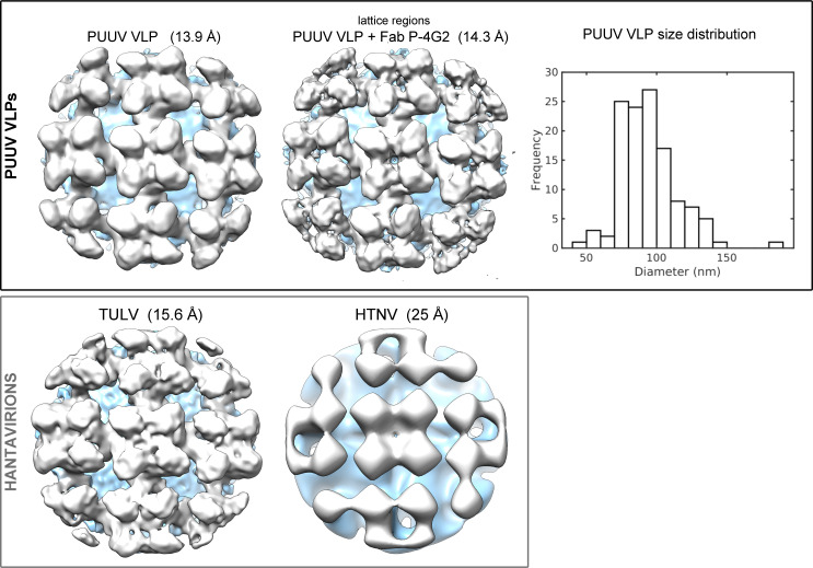 Figure 4—figure supplement 1.