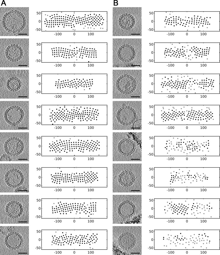 Figure 4—figure supplement 2.