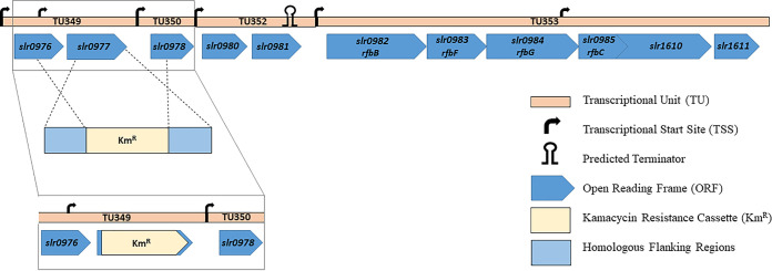 FIG 1