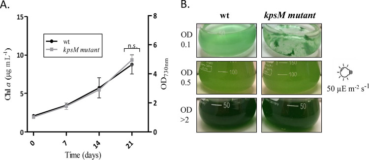 FIG 2