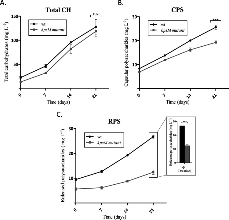 FIG 3