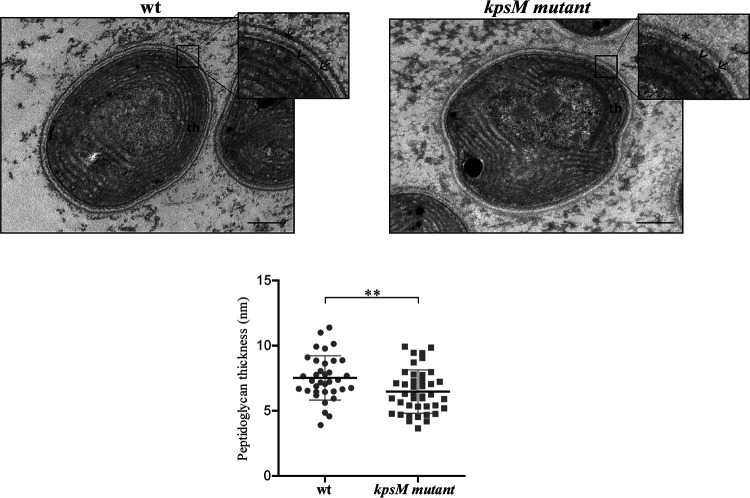 FIG 10