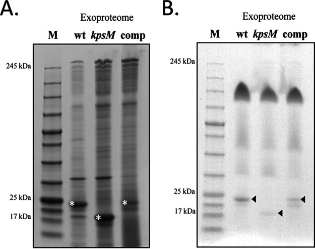 FIG 6