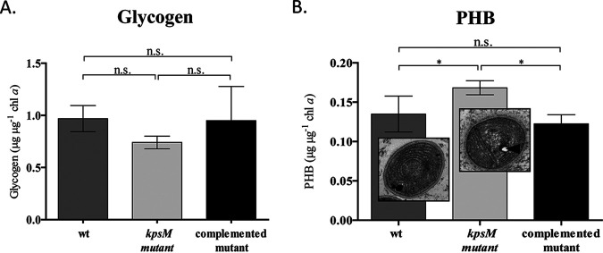 FIG 4