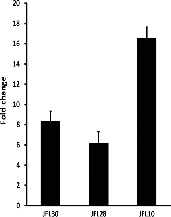 FIG 1 