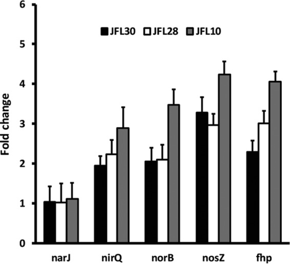 FIG 2 