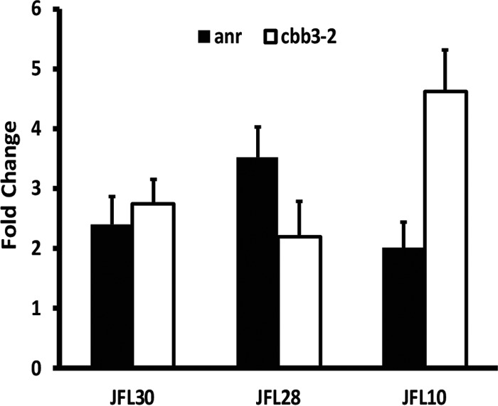 FIG 4 