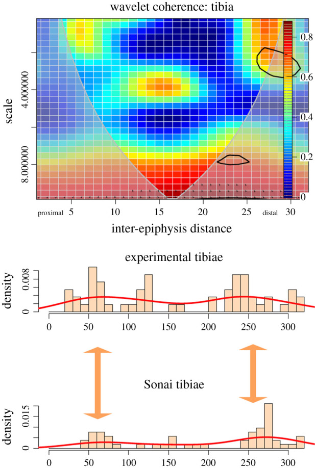 Figure 10.