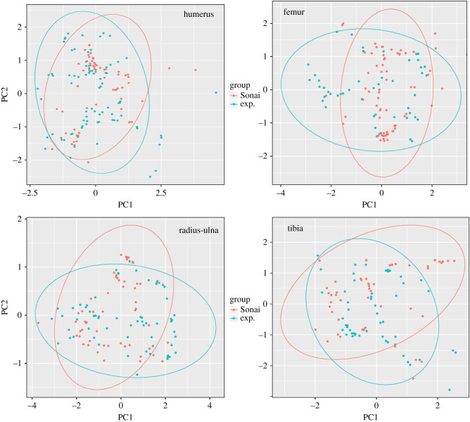 Figure 11.