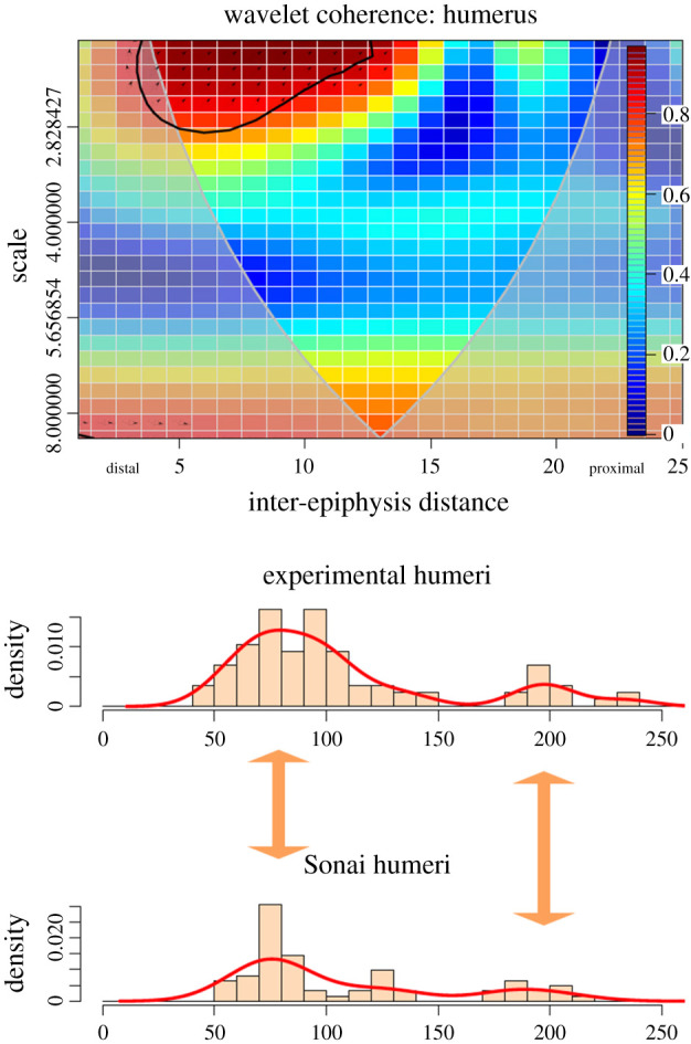 Figure 7.