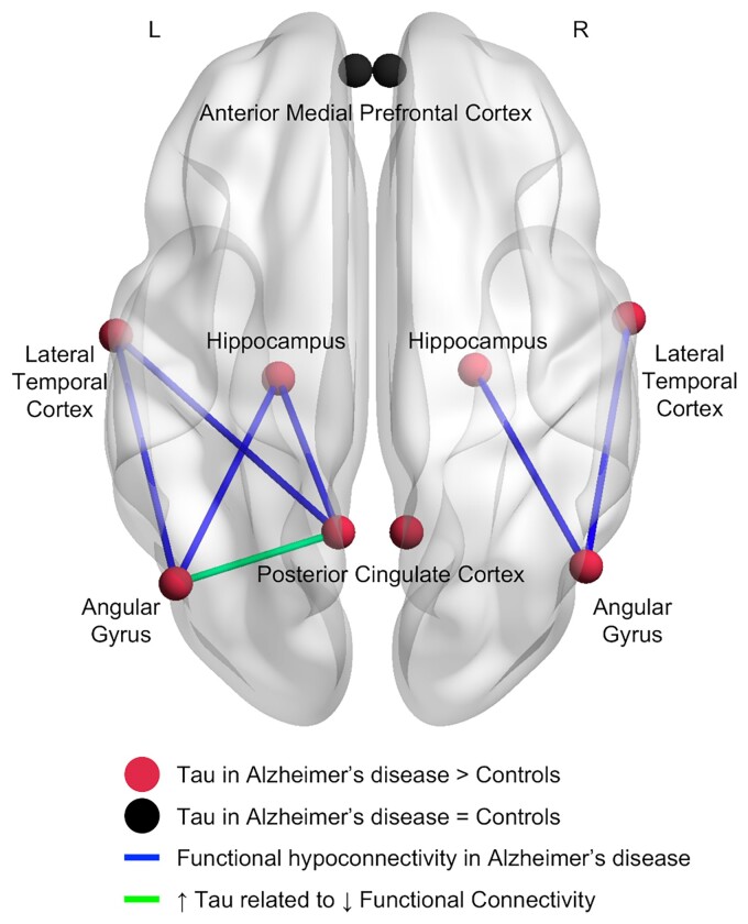 Graphical Abstract