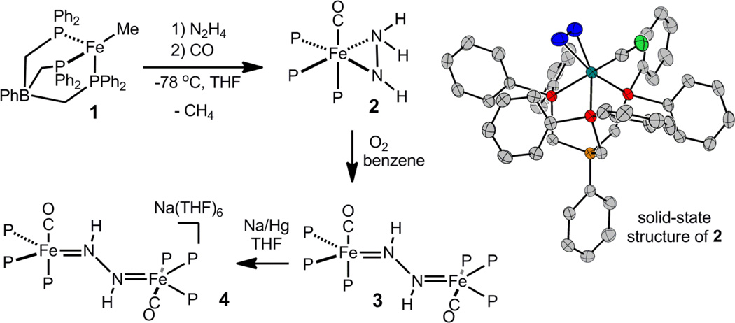 Scheme 1