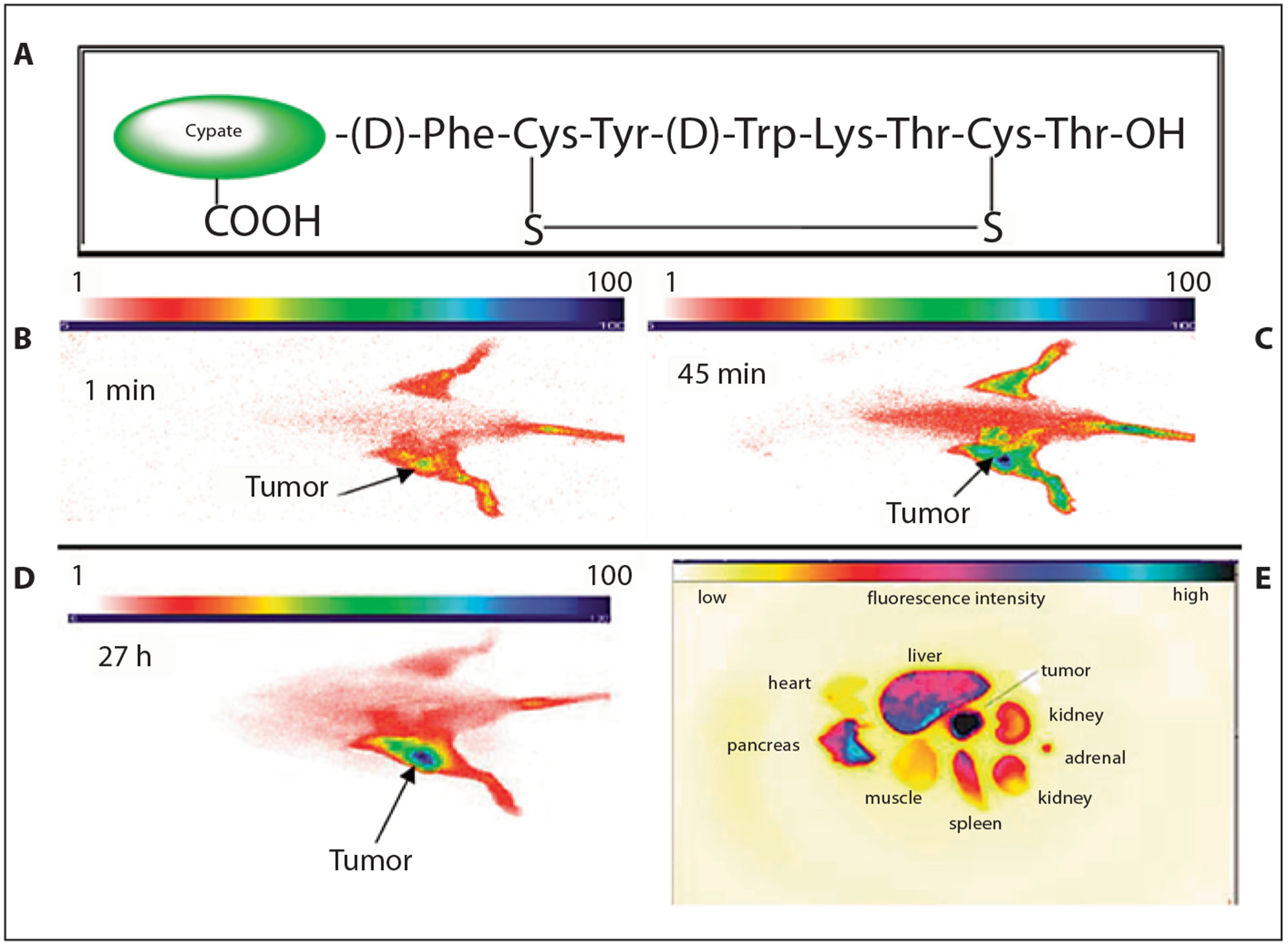 Fig. 10.