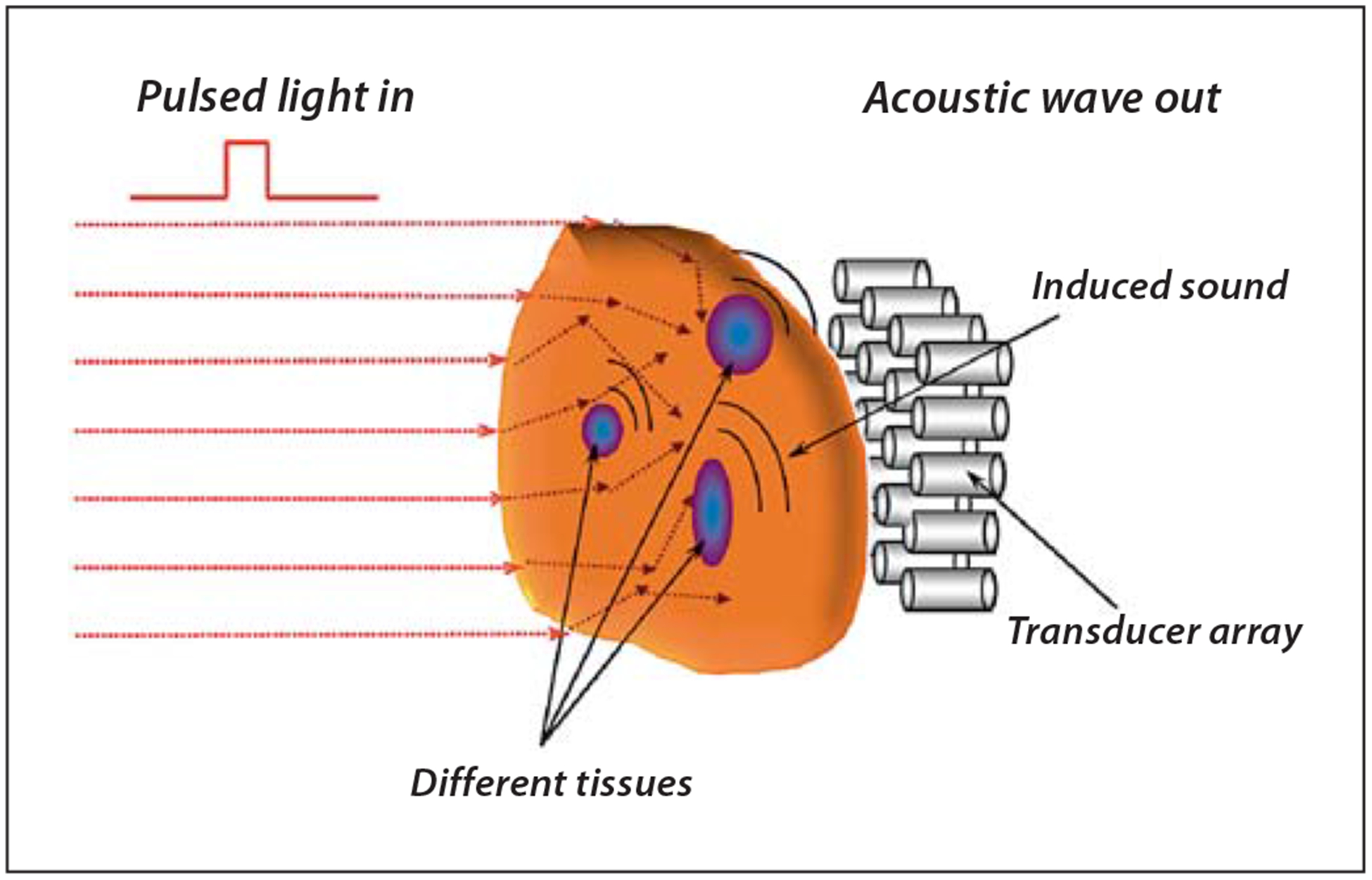 Fig. 6.