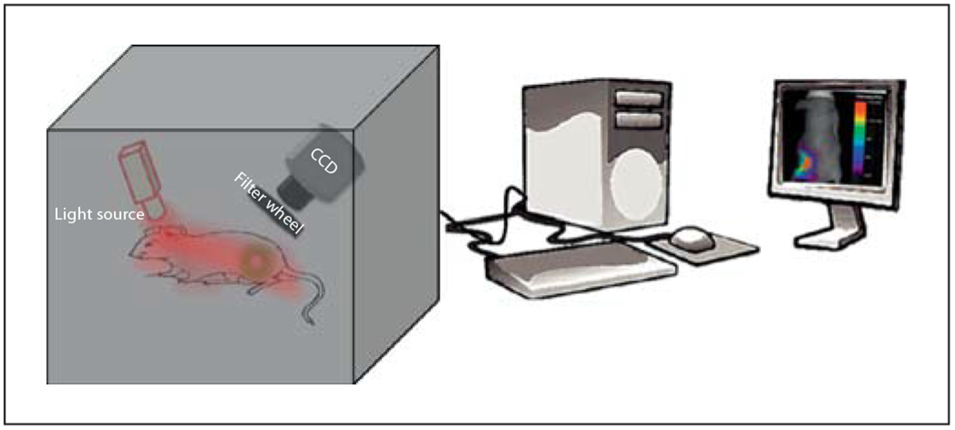 Fig. 1.