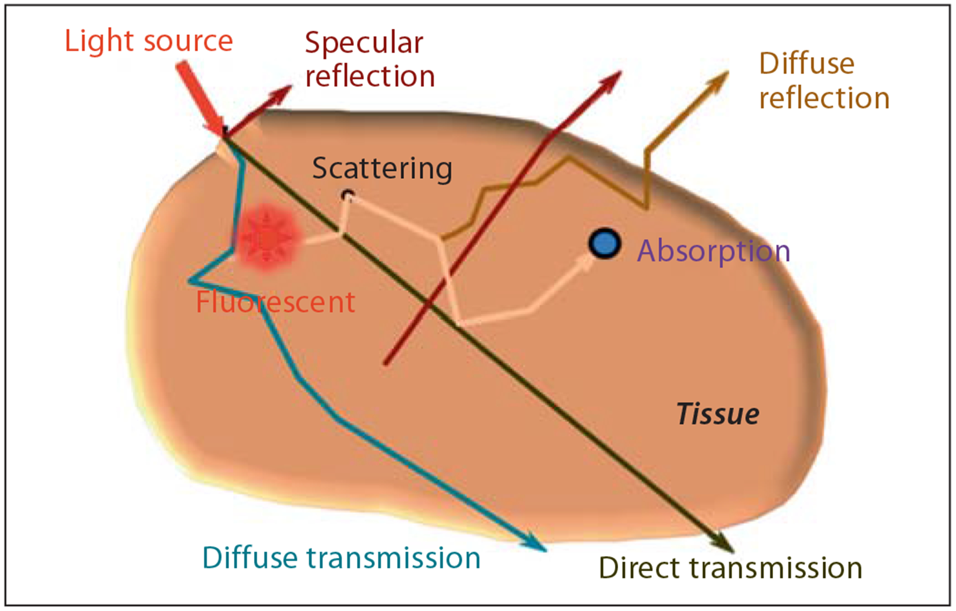 Fig. 8.