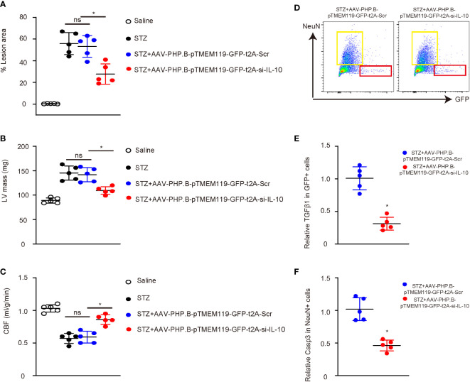 Figure 6