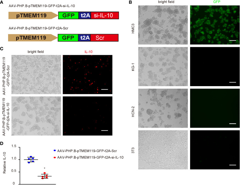 Figure 4