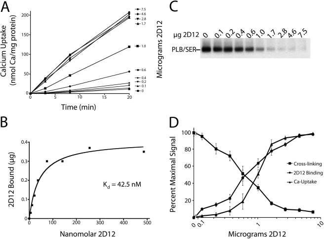 FIGURE 9.