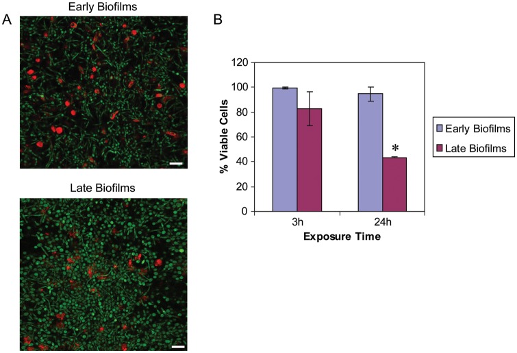 Figure 3.