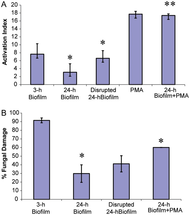 Figure 2.