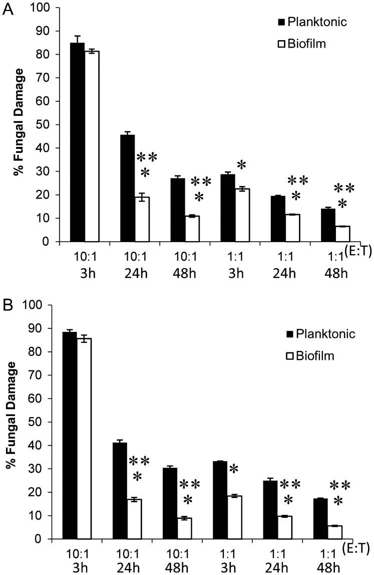 Figure 1.