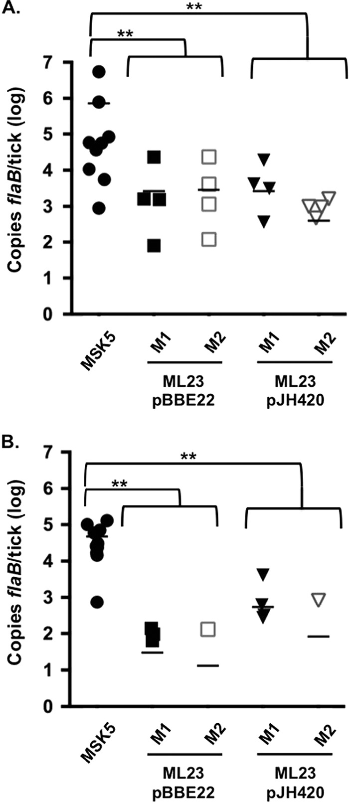 FIG 3