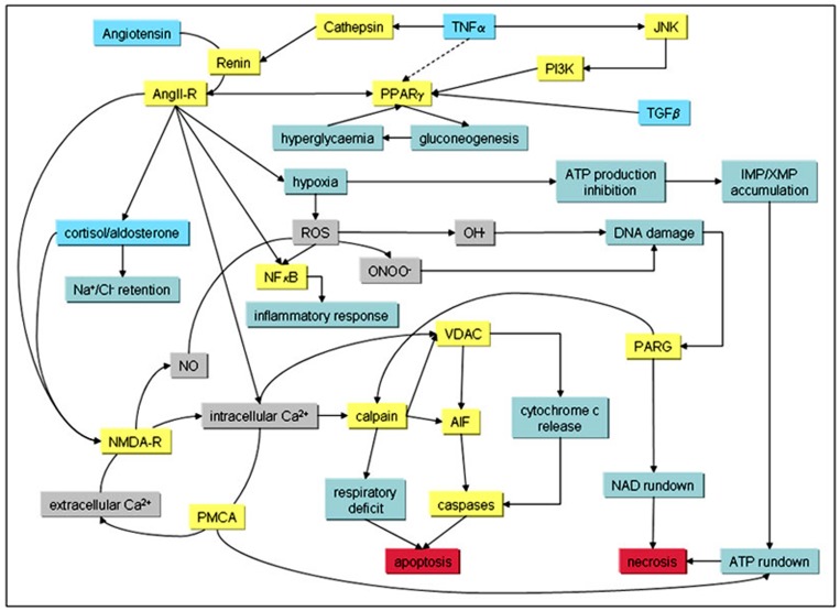 Figure 1: