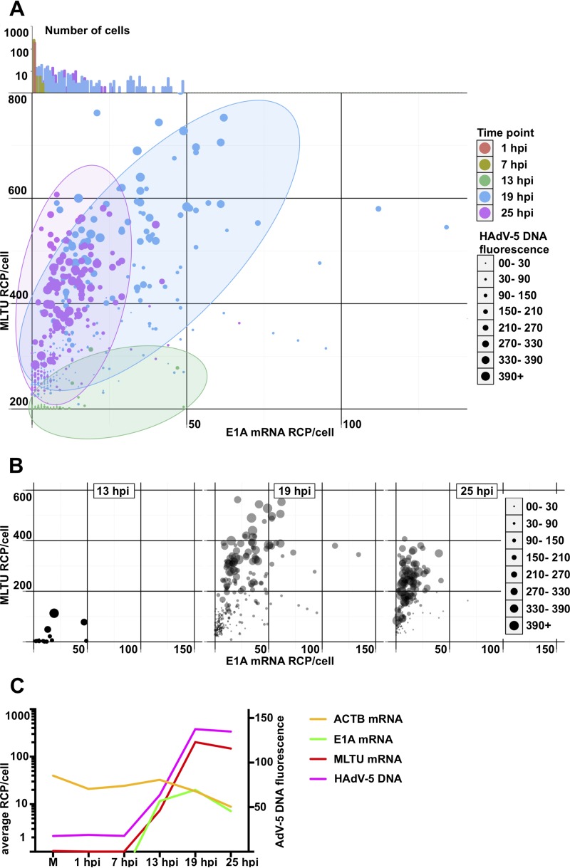 FIG 4