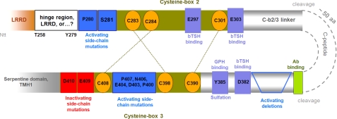 FIGURE 1.