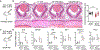 Fig. 5.