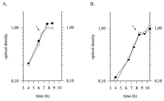 FIG. 5