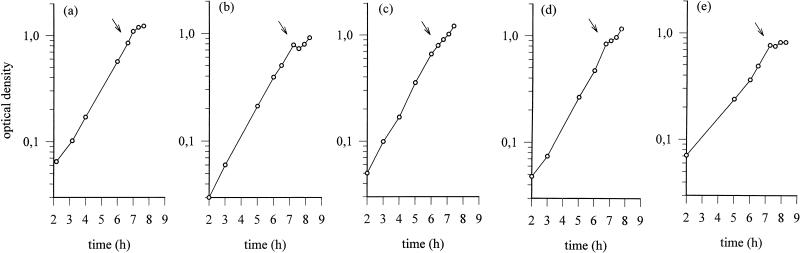 FIG. 3