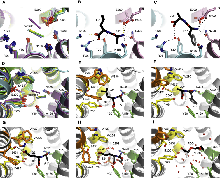 Figure 3