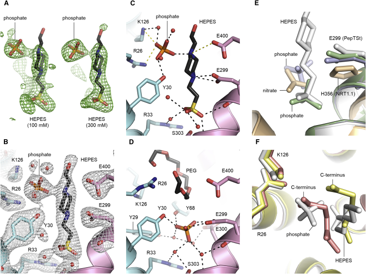 Figure 4