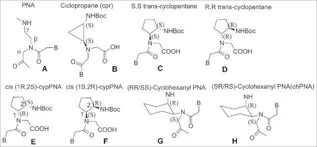 Figure 11.