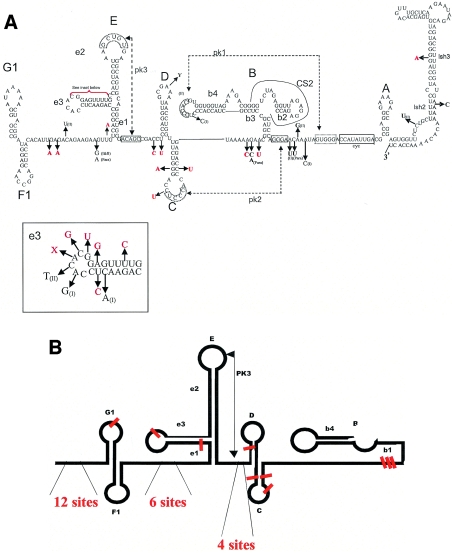 FIG. 2.